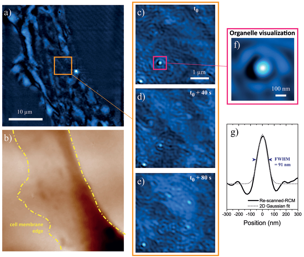 Label-free super-resolution imaging below... | Open Research Europe