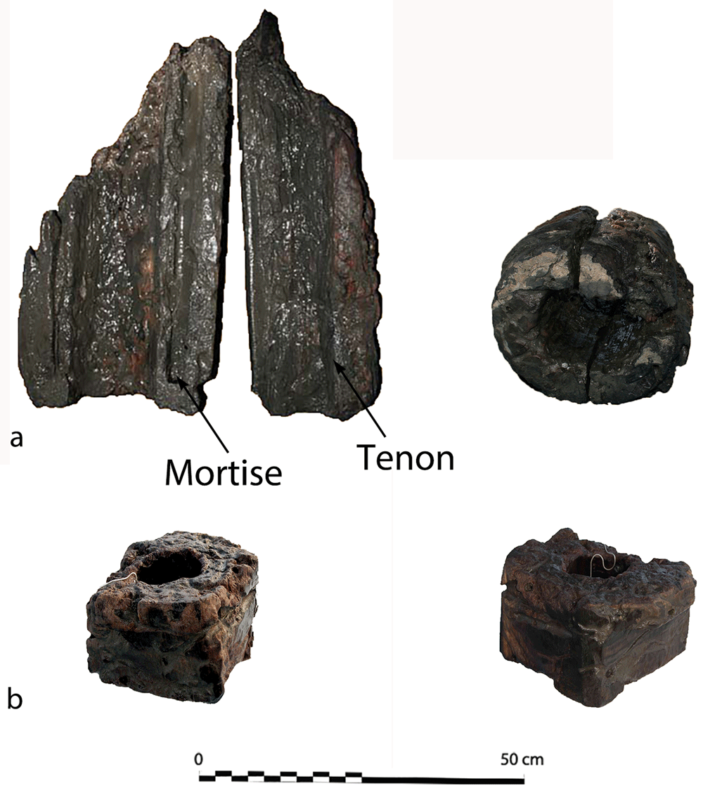 Review of the research programme on the... | Open Research Europe