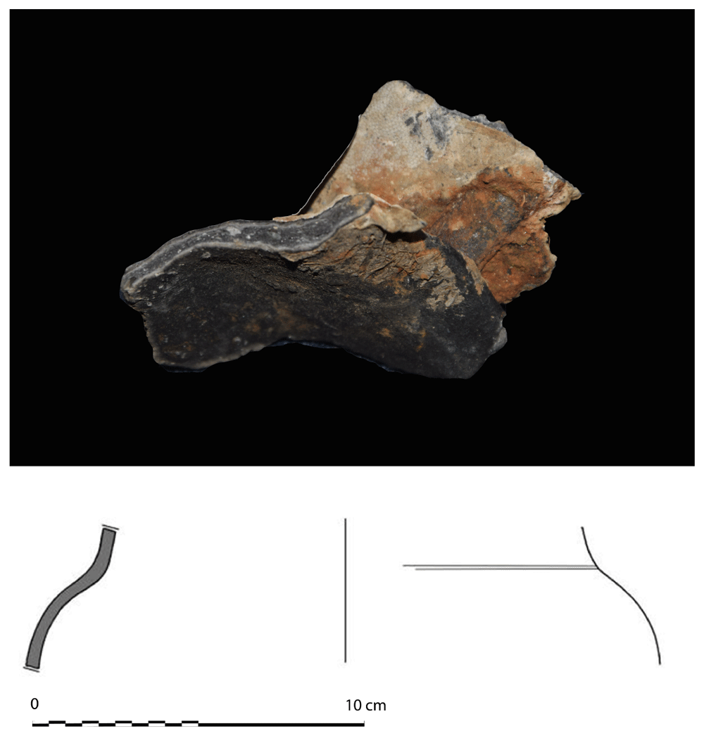 Review of the research programme on the... | Open Research Europe