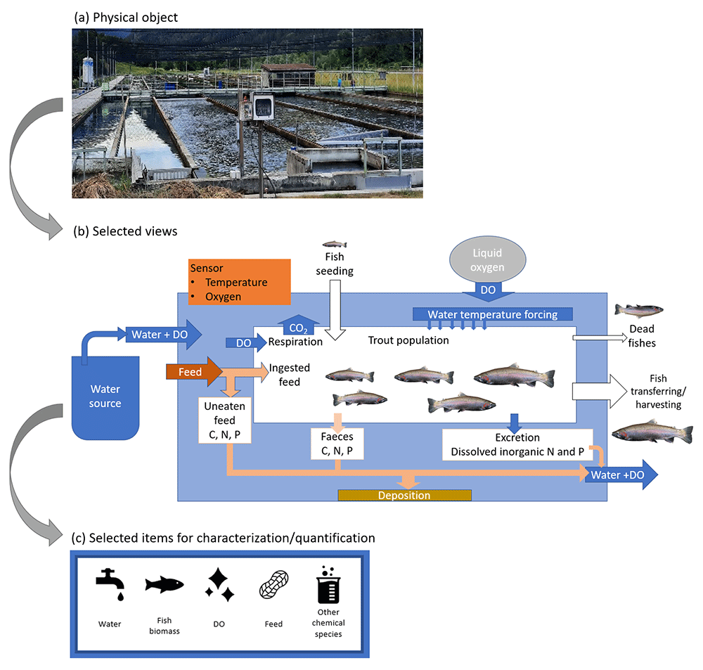 Fish Farming Process Flow Diagram