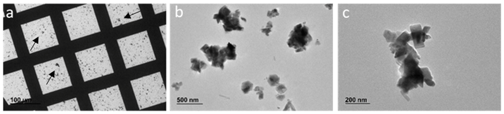 Extraction of E171 or E172 food additives... | Open Research Europe