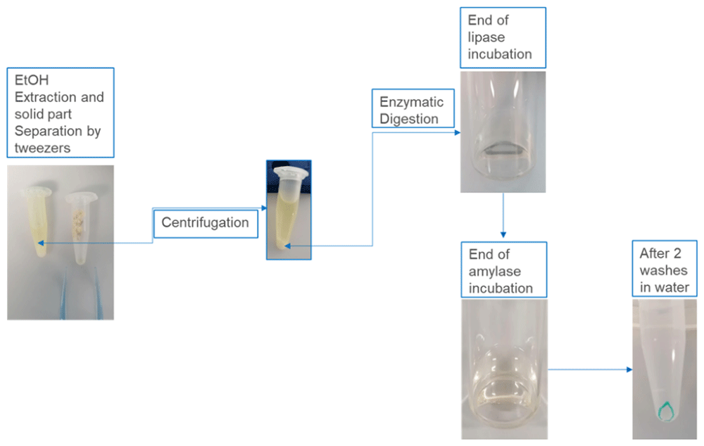 Extraction of E171 or E172 food additives... | Open Research Europe