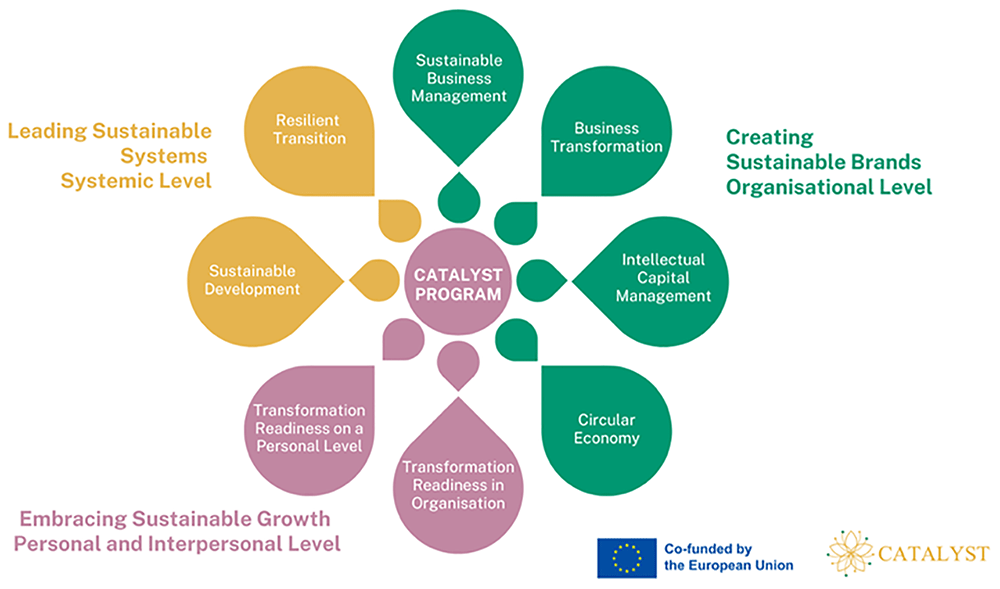 Catalysing Business Transformation:... | Open Research Europe