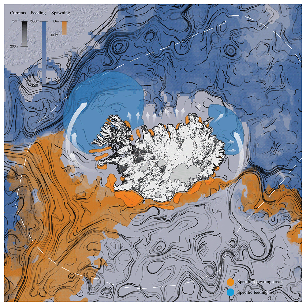 Cod, construction, and communities:... | Open Research Europe