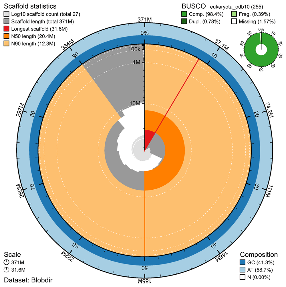 Lineus ERGA-BGE reference genome of the lineid... | Open Research Europe